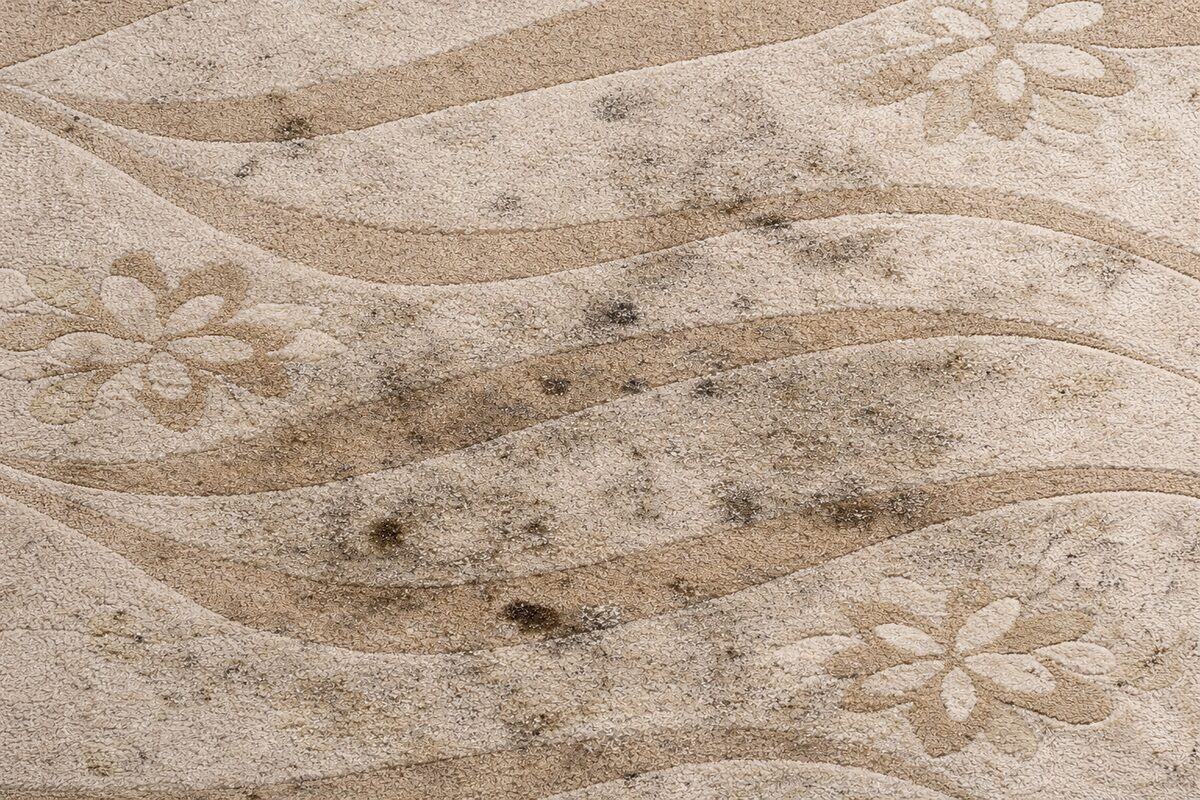 Halı yıkama öncesi kirli halı